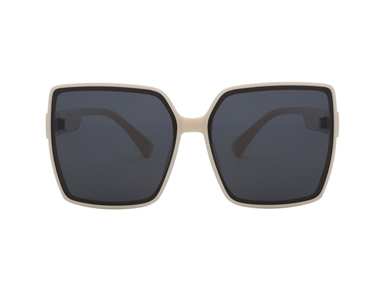 New Arrive Sunglasses TR90 Frame Polarized Sunglasses for Women