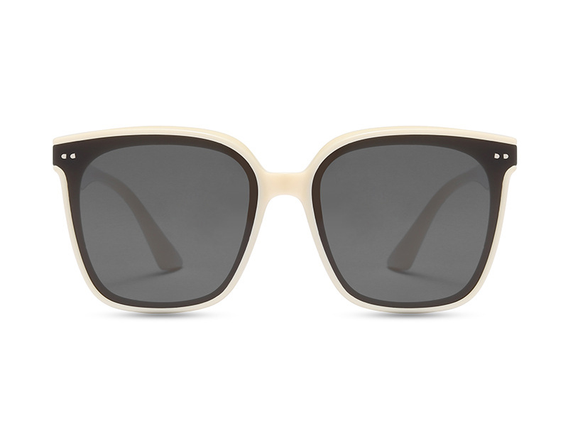 Oversize Sunglasses for Women TAC Polarized Lens Tr90 Glasses and Frames Online